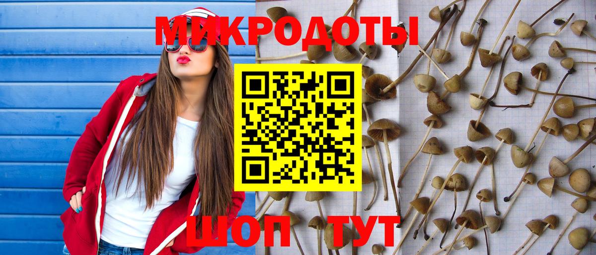 Псилоцибиновые грибы ЛСД Котовск