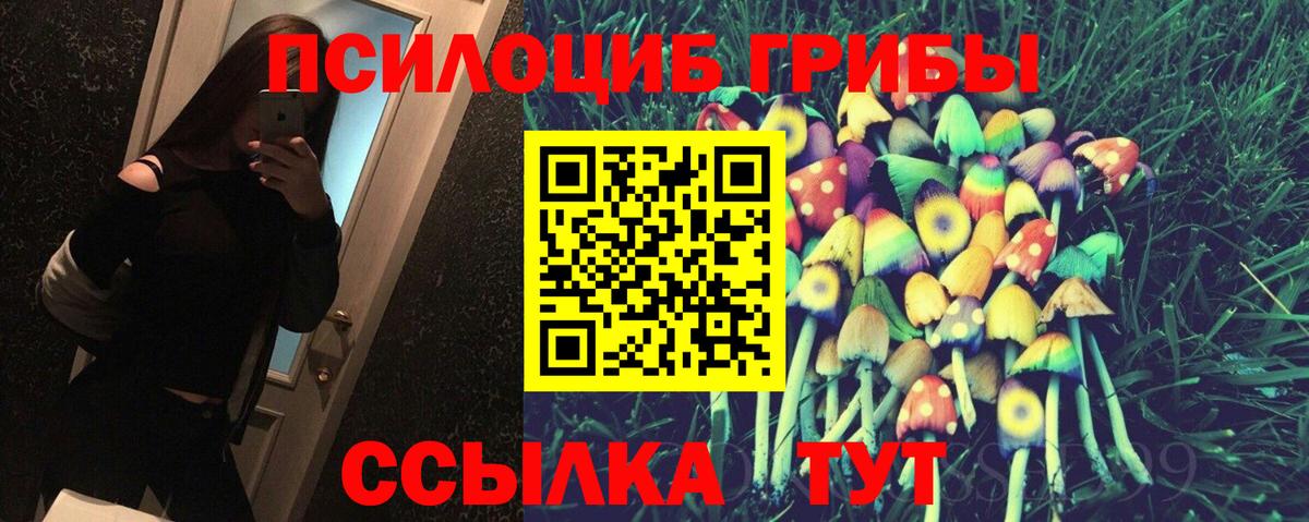 Котовск  Псилоцибиновые грибы Magic Shrooms  наркотики  Вход с VPN 